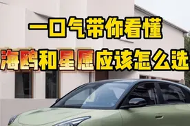一口气带你看懂，海鸥和星愿怎么选 #比亚迪 #吉利 #比亚迪海鸥视频封面