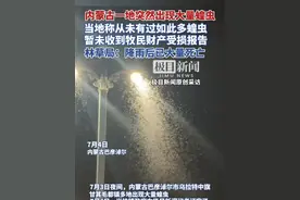 内蒙古一地出现大量蝗虫，当地称以前从未有过如此多蝗虫，暂未收到牧民财产损失报告，林草局：降雨后已大量死亡