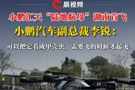 小鹏汇天“陆地航母”湖南首飞，小鹏汽车副总裁李锐：可以把它看成甲壳虫，需要飞的时候才起飞#小鹏汽车 #小鹏汇天