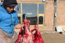 藏族牧民宰杀今年第三头牦牛，宰杀工作结束了 #vlog日常 #记录真实生活 #农村生活