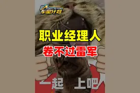 职业经理人造车卷不过雷军的 #汽车 #商业思维 #知识 #生意 #车星计划视频封面