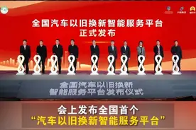 全国汽车以旧换新智能平台上线，一站式申领补贴 #汽车国补平台上线了 #王濛成汽车国补大使 #领汽车国补就上懂车帝 #汽车国补视频封面