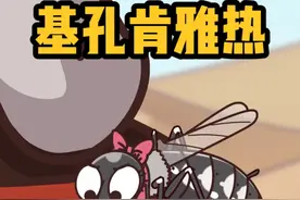 被这蚊子咬了怎么这么痛！ #基孔肯雅热 #基孔肯雅热症状 #蚊子 #驱蚊水 #轻漫计划