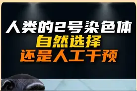 人类的2号染色体秘密：自然选择还是人工干预？ 其实我们现在是不是就是在扮演造物主的角色呢？#2号染色体 #进化论 #自然选择 #人工干预 #抖音知识年终大赏视频封面