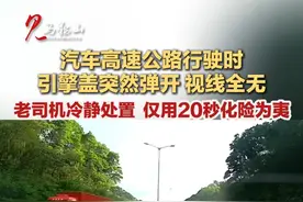 汽车高速公路行驶时 引擎盖突然弹开 视线全无 老司机冷静处置  仅用20秒化险为夷 #社会百态 #高速公路 #有惊无险 （来源：@花骏珹的时间旅程  四川观察  编辑：徐忻妍）视频封面