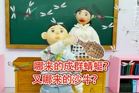 谁在教室养沙牛卖钱？成群的蚁蛉出卖了他！ #地牯牛金沙牛