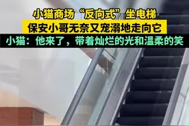 小猫商场”反向式“坐电梯，保安小哥无奈又宠溺地走向它...猫咪：他来了，带着灿烂的光和温柔的笑(视频来源@软萌小猫 ) #温柔 #总有温暖在身边视频封面