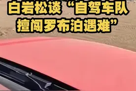 白岩松谈“自驾车队擅闯罗布泊遇难”