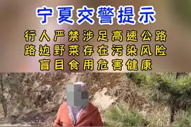 #一线微观 路边野菜不要采  尾气农药伤害大  过往车辆快又多  行人涉足有危险@公安部交通管理局 @平安宁夏 视频封面