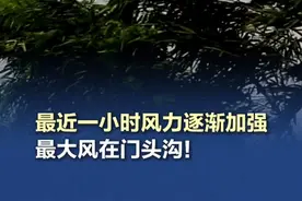 【#最近一小时风力逐渐加强  最大风在门头沟】10时至22时为风力最强时段，阵风9～11级，延庆、昌平、门头沟、房山、怀柔、平谷、密云等区的部分地区阵风11～13级，山区局地阵风可达13级以上。（气象北京）视频封面