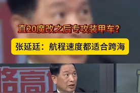 直20魔改之后专攻装甲车？ #武装直升机  #直20  #张延廷视频封面