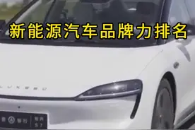 一口气看完新能源汽车品牌力排名， 第一名是最昂贵的新能源