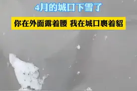 4月的城口下雪了！你在外面露着腰，我在城口裹着貂。#重庆城口 #下雪 #热点视频封面