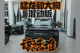 混动版猛龙和大狗到底该选谁 做床车好吗视频封面