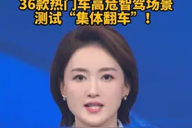 高价≠安全，36款热门车高危智驾场景测试“团灭”#智驾 #智能驾驶 #辅助驾驶 #出行安全