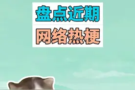 盘点近期网络热梗：德语小猫、踩奶猫、我要吃饭 #德语小猫 #踩奶猫 #有理说不清猫 #猫meme #梗