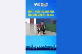 看哭！功勋犬退役被领养，奔回训导员身边不肯离开。视频封面