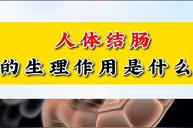 人体结肠的生理作用是什么？ #结肠 #胃肠 #医学科普视频封面