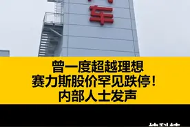 曾一度超越理想 赛力斯股价罕见跌停！内部人士发声#赛力斯 #理想视频封面