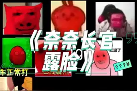 奈奈长官的真容竟然长这样？还有人想和她处大象吗？ #和平精英