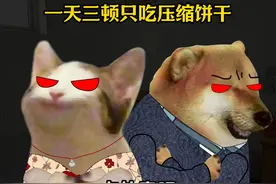 特种兵男友之旅游一天三顿只吃压缩饼干 #cheems #搞笑