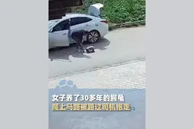 女子养了30多年的鳄龟，爬上马路被路过司机抱走，警方：还未找到该司机#大象主播说 @大象新闻主持人子豪