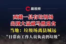 西藏一县有垃圾场出现大量藏马熊觅食，当地：垃圾场离县城远，日常由工作人员负责扔#媒体精选计划 #西藏 #藏马熊 #觅食 #垃圾场