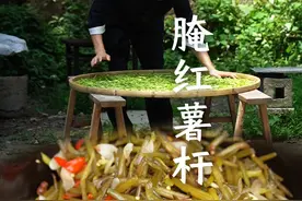 地里吃不完的红薯杆，摘些回来腌制，酸辣脆爽，真的太下饭了#新农人计划2024 #农村美食 #家乡的味道 #红薯杆 #我的乡村生活