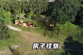 森林里出现了房子怪物，还长着长长的八条腿 #怪物 #探险视频封面