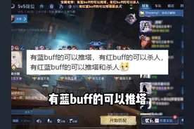 有蓝buff可以推塔，有红buff可以杀人！   #王者荣耀视频封面