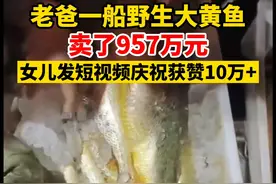 “恭喜老爸捕到大黄鱼”！卖了957万元，船老大女儿发短视频庆祝。（来源：宝贝）#浙江dou知道 #大黄鱼 #丰收 视频封面
