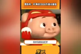 车界新词：四轻四快五赋能#贾跃亭 #汽车