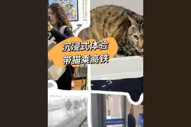 “铲屎官”视角#沉浸式带猫坐高铁 ！你想问的我都经历了
4月10日，铁路部门在京沪高铁的10趟列车上正式开启试点宠物托运服务。澎湃新闻记者以第一视角带你全过程体验如何带宠物猫乘高铁。视频封面