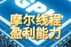 摩尔线程，盈利最强的10家企业 #摩尔线程 #盈利能力