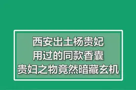 西安出土杨贵妃用过的同款香囊，古代贵妇常用之物竟然暗藏玄机 #文物 #古代文化视频封面