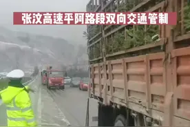 #青海 张汶高速平阿路段双向交通管制，具体解除时间待定，请司机朋友相互告知以免耽误行程。 #雪天出行注意安全视频封面