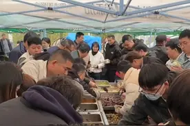 10元盒饭姐怒斥浪费饭菜的顾客：有人说花了钱可以把干净饭菜倒掉，这种人一辈子都别来吃我的饭。“我做饭是让你吃的，不是让你倒的”#浪费粮食#盒饭姐#你怎么看#珍惜食物拒绝浪费#盒饭视频封面