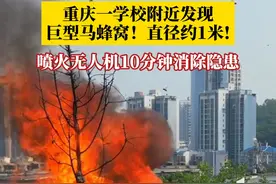 学校附近发现巨型马蜂窝？没关系，喷火无人机会出手！#喷火无人机十分钟消除巨型马蜂窝 ！#重庆dou知道
