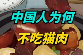 中国人为什么不吃猫肉？李时珍早就试过了，劝你还是管住嘴视频封面