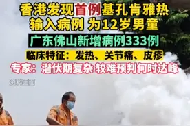 香港发现首例基孔肯雅热输入病例，为一名12岁男童；广东佛山新增病例333例。专家表示，蚊媒传播潜伏期复杂，较难预判何时达峰。（剪辑：辛乐）视频封面