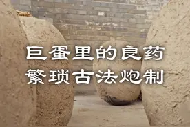 巨蛋炼药，乾隆亲自命名 #定坤丹 #中药视频封面