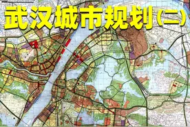 从大武汉到全国最大县城，武汉城市规划究竟经历了什么？ #武汉视频封面