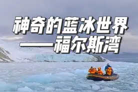 2024南极南美之旅（12）：神奇的蓝冰世界——福尔斯湾 #南极半岛视频封面
