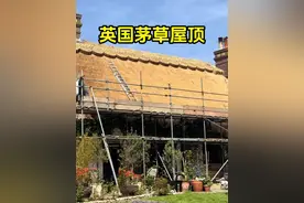 英国茅草屋顶铺设过程，看起来特别的解压！ #茅草屋 #解压 #趣事 #有趣 #全球看点视频封面