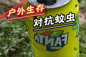 户外遇到蚊虫侵扰打不到，老哥带来小妙招 #户外生存 #解压 #驱蚊 #饮料瓶 #内容启发搜索