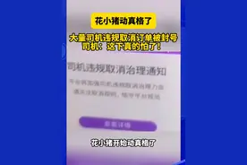 注意了！花小猪大整顿，大量违规司机被封号，司机再也不敢随便取消了！#网约车