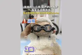 今天上午，国务院新闻办公室举行新闻发布会，海关总署副署长王令浚在会上教大家真伪鉴定labubu秘诀！戳↓↓视频#海关  #labubu  #山寨labubu  #拉布布