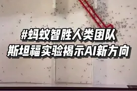 人类输了？蚂蚁的集体智慧揭示了AI发展的新方向 #人工智能 #玩儿个很新的东西 #科技启示录 #科技热点 #AIGC视频封面