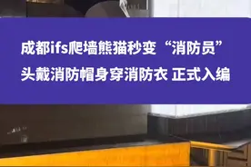 成都ifs爬墙熊猫秒变“消防员”，头戴消防帽身穿消防衣，正式入编#成都 #大熊猫 #爬墙熊猫 #权威解读视频封面
