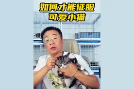 想要猫猫变的可爱又粘人？ 这样社会化#训猫 猫猫变的乖巧不挠人！#猫咪 #新手养宠 #养猫人视频封面